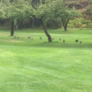 Crawford Bay RV Park Crawford Bay RV Park