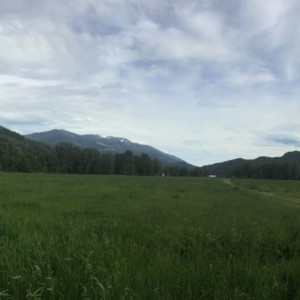 Regional District Park Regional District Park